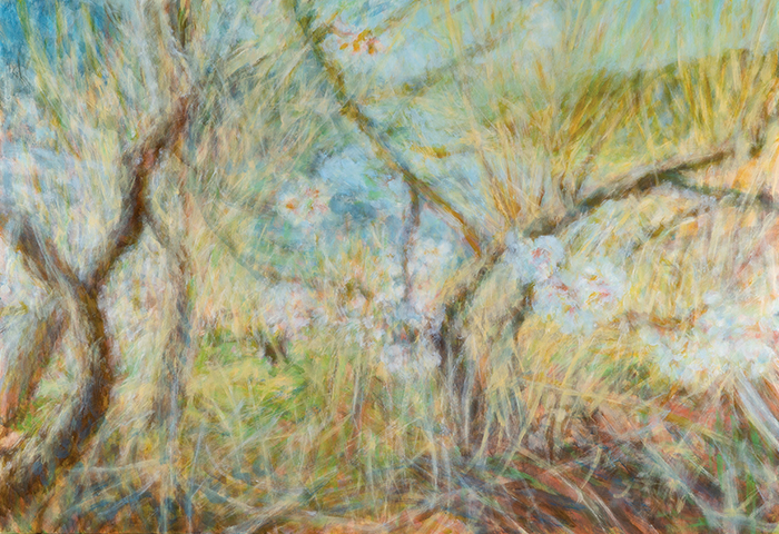 1e307609_%25EC%2584%25AC%25EC%25A7%2584%25EA%25B0%25958-80.3_116.7cm_oil%2Bon%2Bcanvas_2021.jpg
