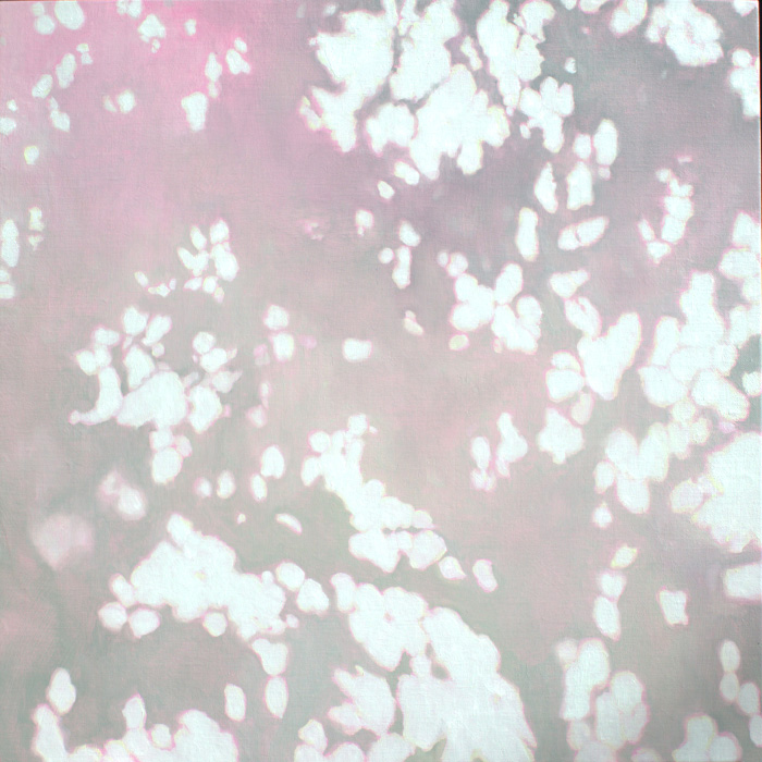 29720cd2_illusion94%2B2025%2Boil%2Bon%2Bcanvas%2B60.6x60.6cm.jpg