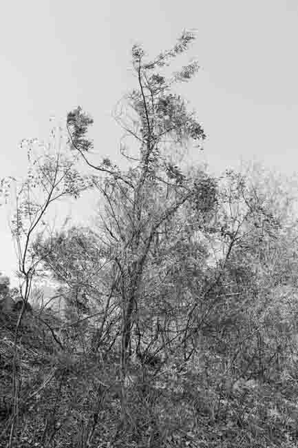 48c41e1a_05.jpg