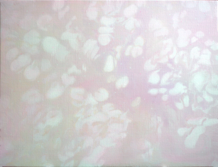 4ae7a5c5_illusions84%2B2024%2Boil%2Bon%2Bcanvas%2B50x65cm.jpg
