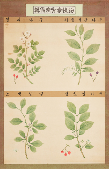 4ffcb39f_04.jpg