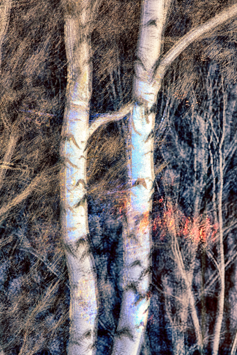 6386b966_132-%25EC%259D%25B4%25EB%25A7%258C%25EC%259A%25B0%2B3598-12_HDR_HDR.jpg