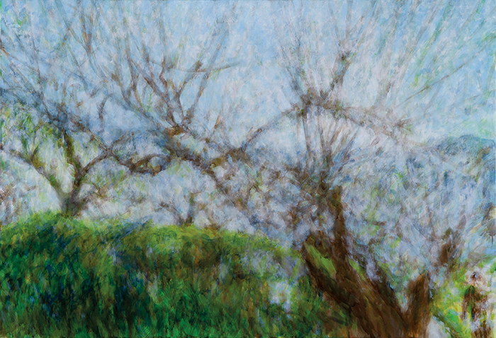 63c9d1f4_%25EB%25A7%25A4%25ED%2599%25943_80.3x116.7cm_oil%2Bon%2Bcanvas_2021_.jpg