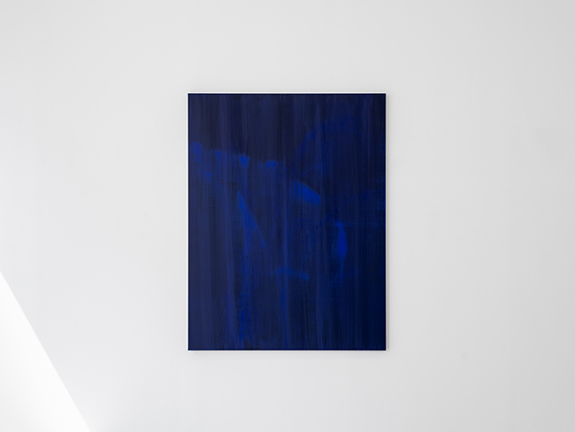 b055bc4e_a01.jpg