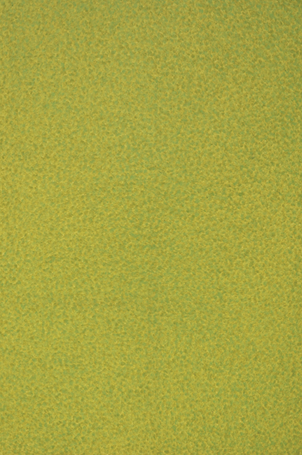 b6160463_image00008.jpg