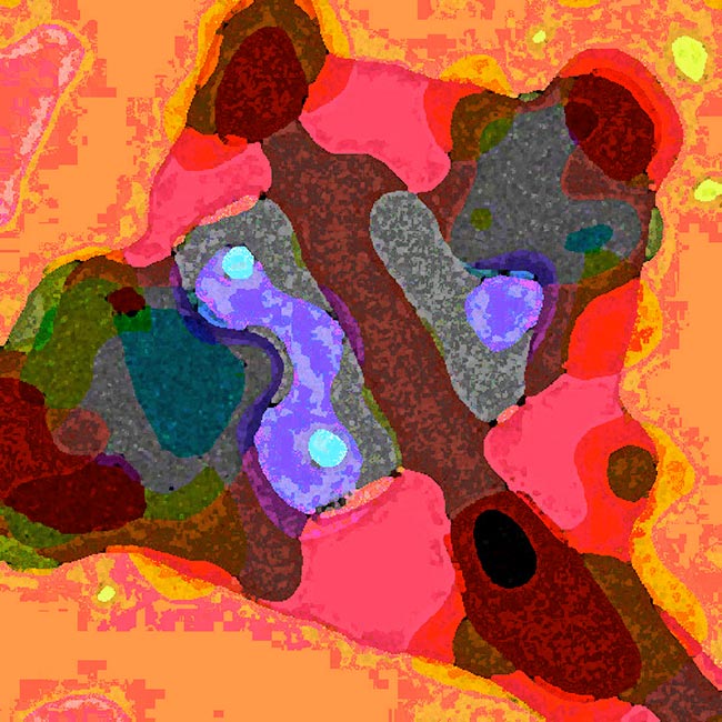 c6d161e2_1-5.jpg