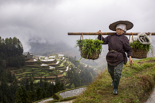 c79ea4a3_Miao%2BVillage%252C%2BGuizhou%252C%2BChina.%2B2016.jpg