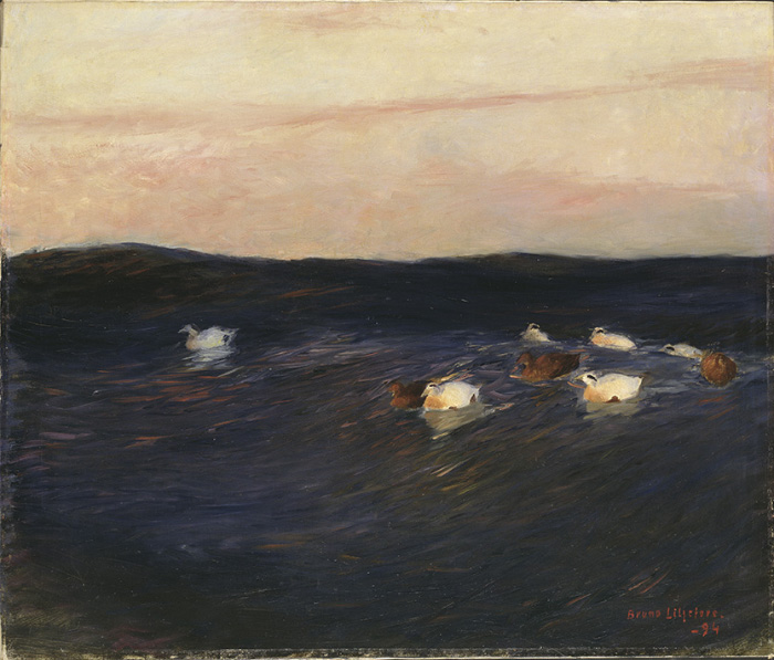 c79f6636_Bruno%2BLiljefors_Eider%2BDucks_low.jpg