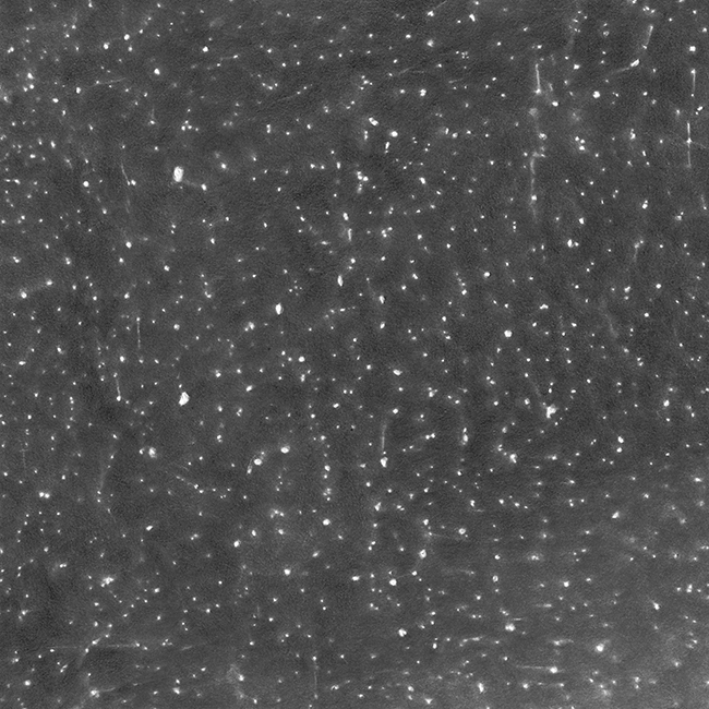 e299d46b_a004.jpg