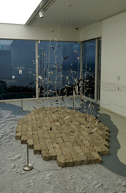 f3e9bda0_DSC01326.JPG