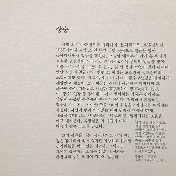 01747c17_3.jpg