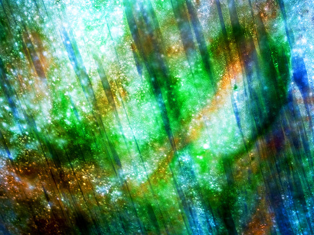 0a6e7cf9_Secret%2B01%252C%2B60.9x81.3%252C%2BPigment%2Bbased%2Binkjet%2Bprint%252C%2B2021.jpg