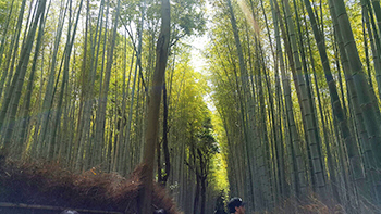 1a34244f_KakaoTalk_20160613_182256582.jpg