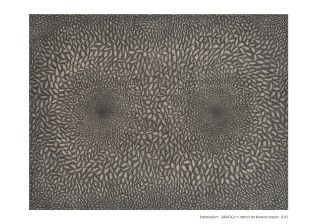 1e8af533_Stereodium%2B2015%2B160x120cm%2Bpencil%2Bon%2BKorean%2Bpaper.jpg