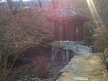 2f93bb0b_20160223_145542.jpg