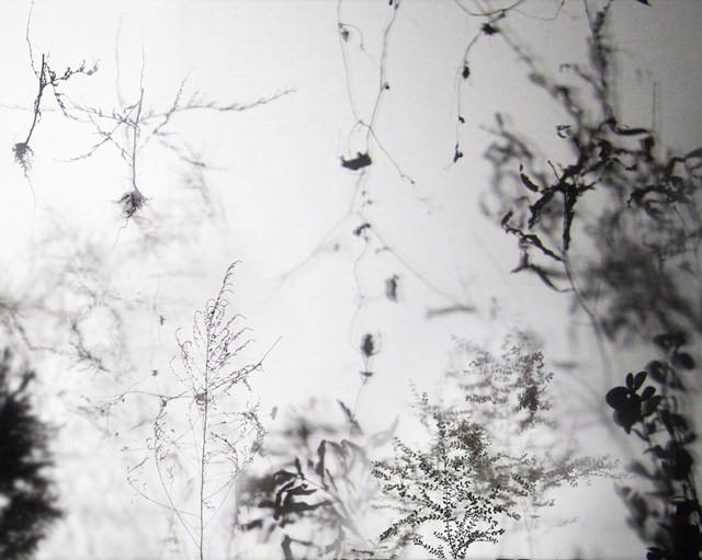 서울아트가이드 Seoul Art Guide