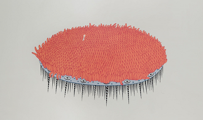 36c2ad31_20211206225406.png