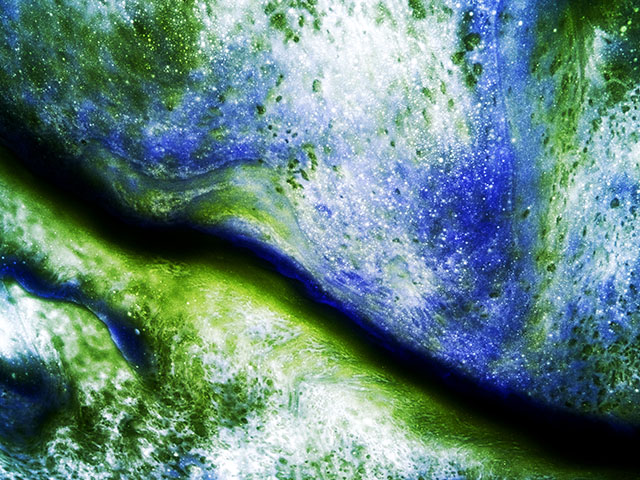 48dce6d1_Fancy%2B05%252C%2B38.2x51%252C%2BPigment%2Bbased%2Binkjet%2Bprint%252C%2B2021.jpg