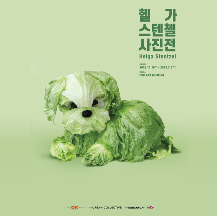 491348a8_000.png