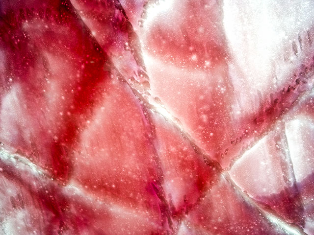 4e6ae7a9_Fresh%2B01%252C%2B38.2x51%252C%2BPigment%2Bbased%2Binkjet%2Bprint%252C%2B2021.jpg