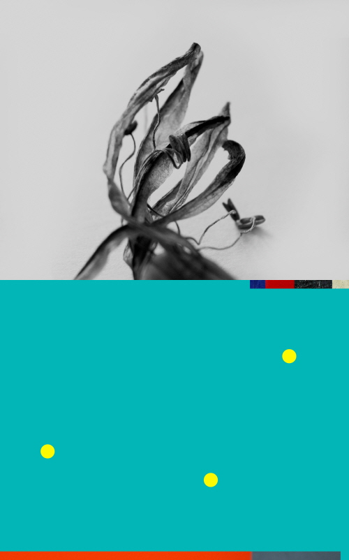 527eb317_%25EC%259D%25B4%25EC%25A2%2585%25EC%25B2%25A0_Untitled-q.jpg