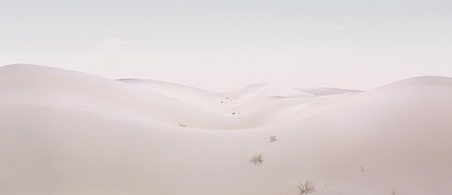 6f26e07c_2.jpg