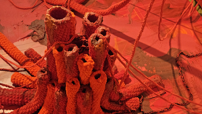 7b42bc7e_1-1.jpg