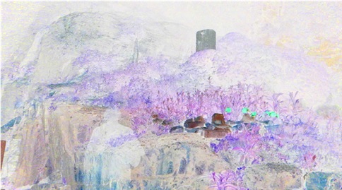 826df31c_1.jpg