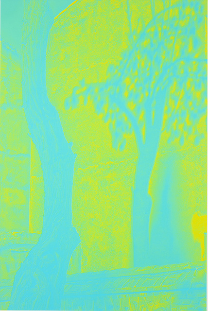a0658fc0_5.lisbon-tree%252C%2B2021%252C%2Binkjet%2Bprint%252C%2B42.x59.4%2Bcm.jpg