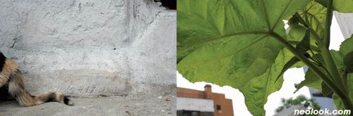aa279b0f_%25EC%25B5%259C%25EC%258A%25B9%25ED%259B%2588%252B%25EB%25B0%2595%25EC%2584%25A0%25EB%25AF%25BC_%25EC%25A2%2585%25EB%25A1%259C6%25EA%25B0%2580%2B43-3%25EB%25B2%2588%25EC%25A7%2580_%25EC%25BB%25AC%25EB%259F%25AC%25EC%259D%25B8%25ED%2599%2594_2006.jpg