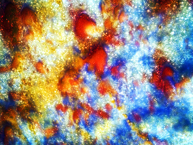 b6f9c23f_Blossom%2B05%252C%2B27.9x37.2%252C%2BPigment%2Bbased%2Binkjet%2Bprint%252C%2B2021.jpg