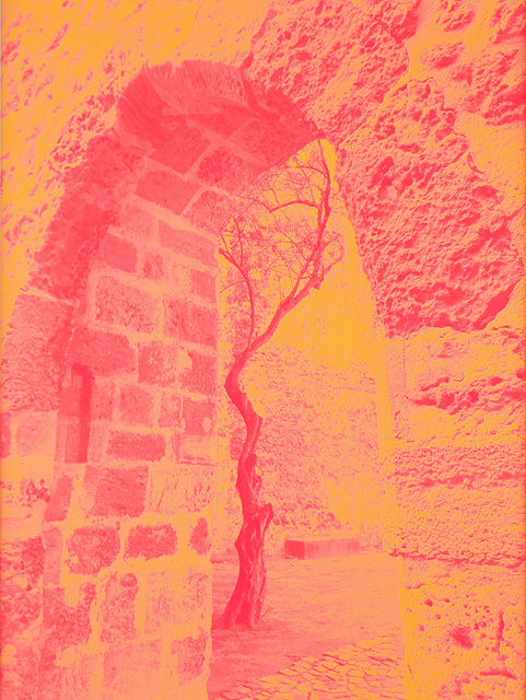cb161964_11.St..jorge-tree%252C%2B2021%252C%2Binkjet%2Bprint%252C%2B42.x59.4%2Bcm.jpg