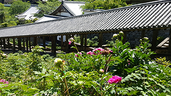 cdfc843f_20160513_123700.jpg