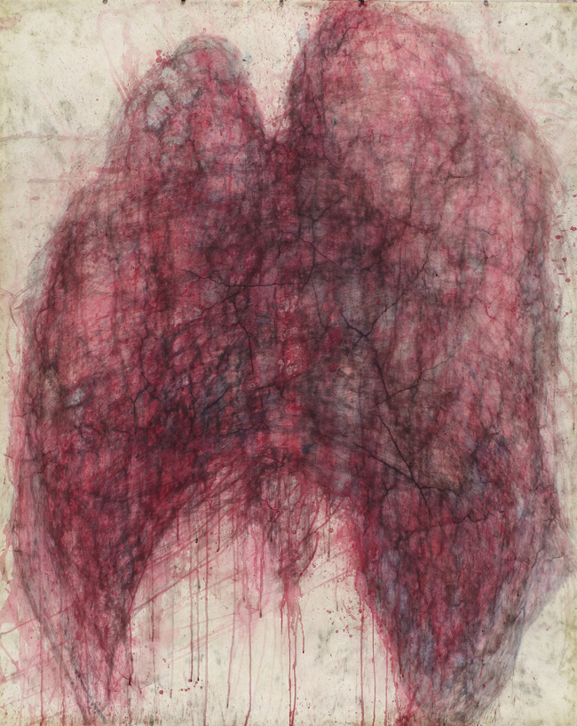 d3138c5c_k05.jpg