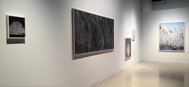 ed935506_b08.jpg