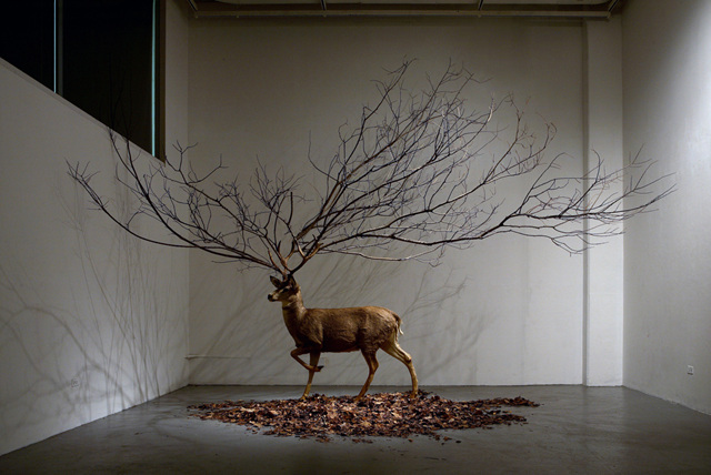 ef743e4a_%25EA%25B9%2580%25EB%25AA%2585%25EB%25B2%2594%252C_%255BUntitled%255D%252C__Dear_taxidermy%252C_Branch%252C_Leaves._Size_available.jpg