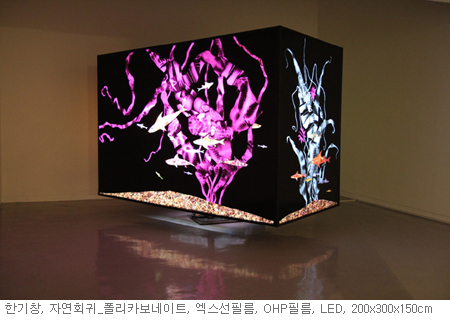 fda358d7_1%2B%25ED%2595%259C%25EA%25B8%25B0%25EC%25B0%25BD.jpg